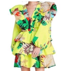 Christopher John Roger’s X Target Plus Dress